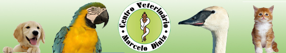 Centro Veterinário - Marcelo Diniz