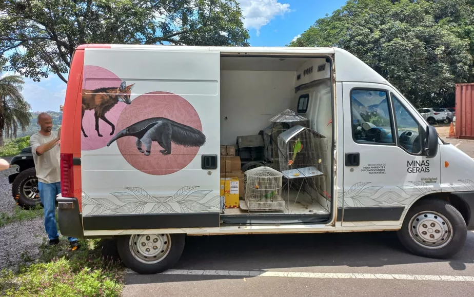 Operação em Curvelo espera devolução voluntária de cerca de 40 animais silvestres