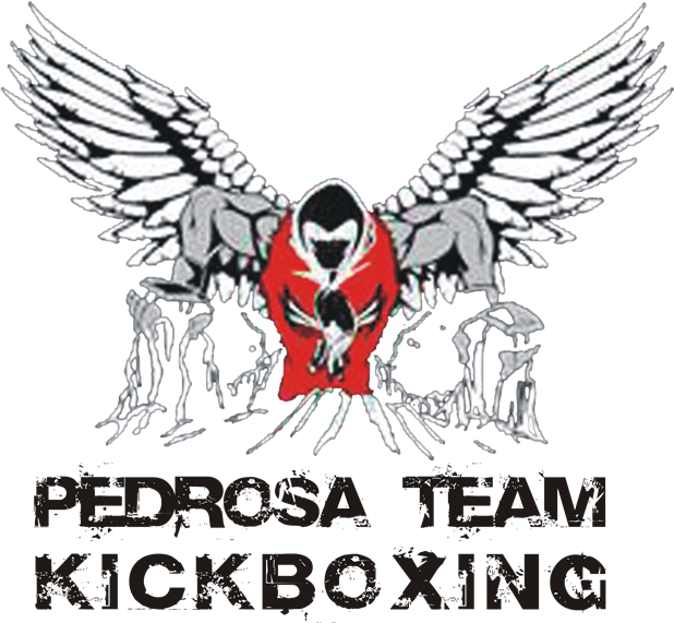 Pedrosa Fighter Team