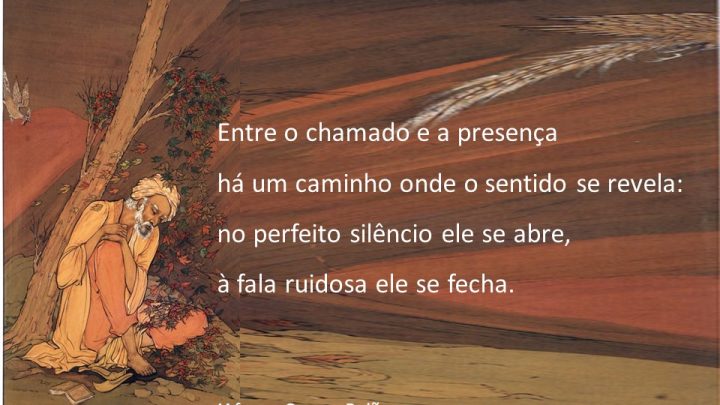 VOZES DO SILÊNCIO